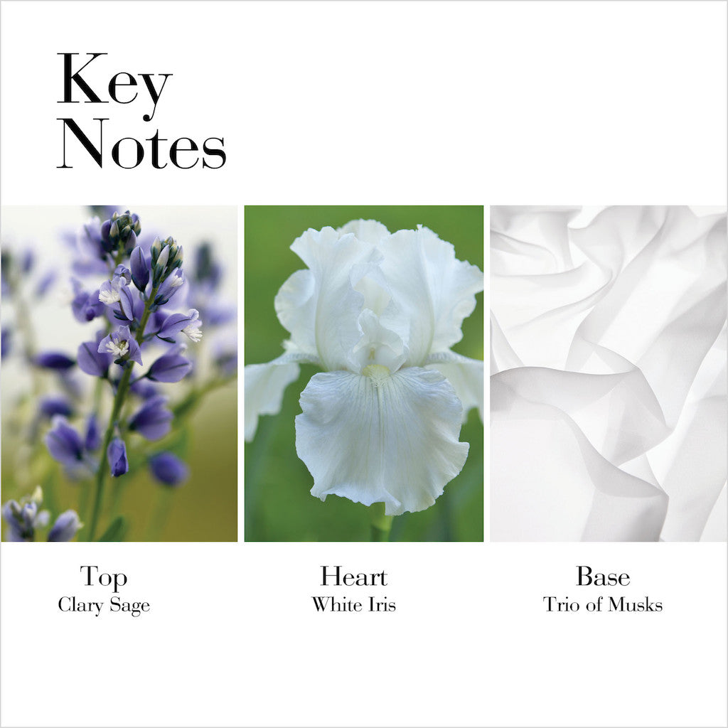 WHITE TEA CLASSIC EDT SPRAY 100ML